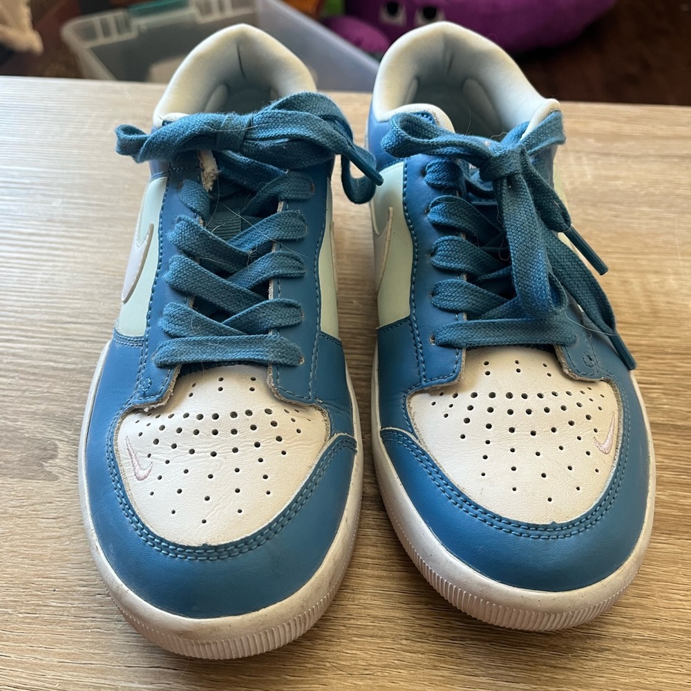 Nike SB Skating Teal and White Shoes